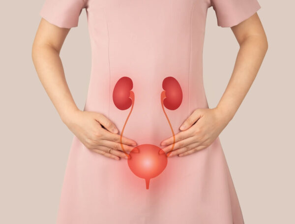 Mesane Kanserinde Mesane Hangi Evrede Alınır?