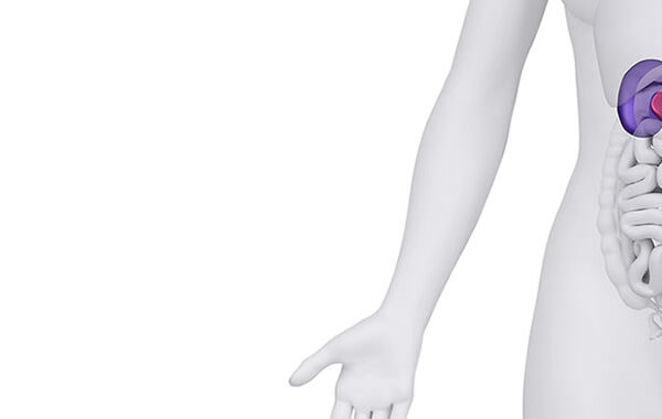 Mesane Alındıktan Sonra Ne Olur?