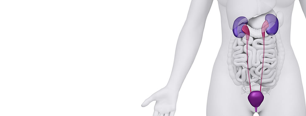 Mesane Alındıktan Sonra Ne Olur?