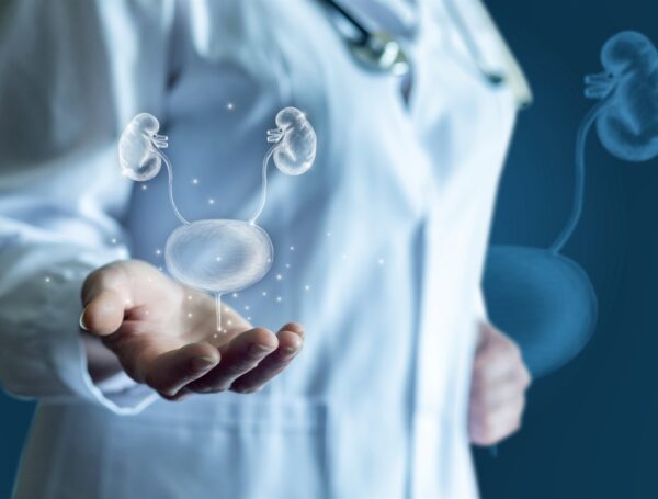 Yapay Mesane Nerede Bulunur?