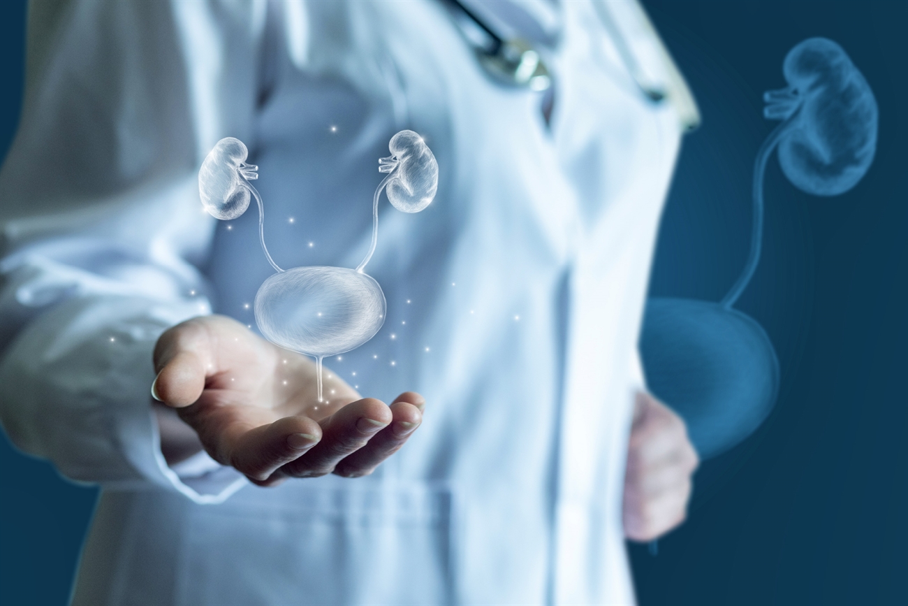 Yapay Mesane Nerede Bulunur?