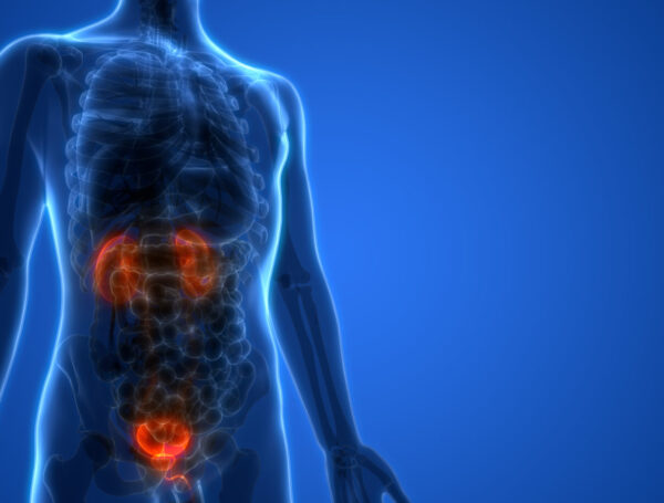 Mesane Kanserinden Kurtulmak Mümkün Mü?