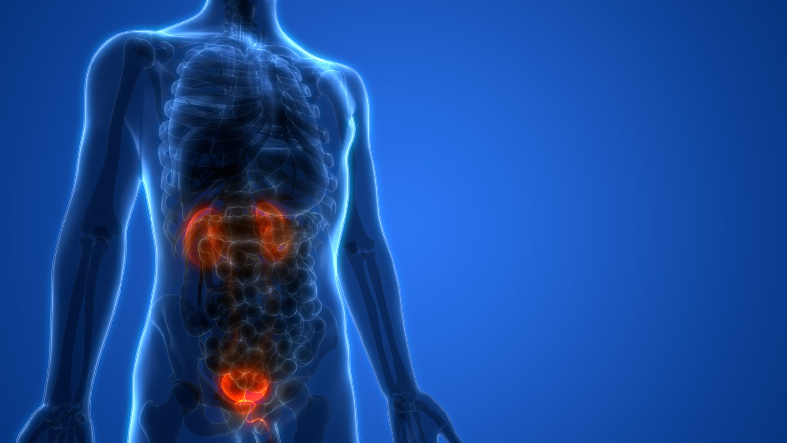 Mesane Kanserinden Kurtulmak Mümkün Mü?