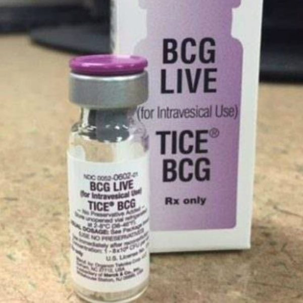 Mesane Kanserinde BCG Tedavisi 2 Mesane Kanserin BCG Tedavisi