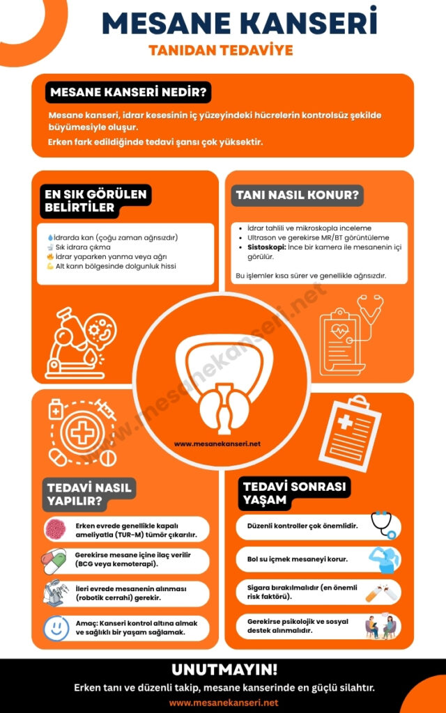 Mesane kanseri tedavi yöntemleri, TUR-M, BCG, radikal sistektomi, yapay mesane, kemoterapi, immünoterapi, radyoterapi ve ameliyat sonrası takip infografiği